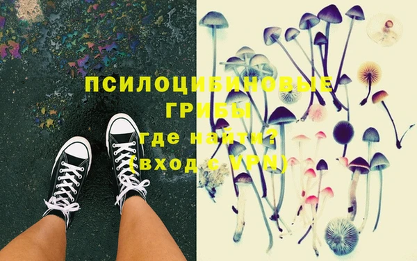 дурь Михайловка