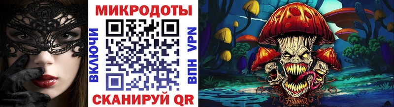 Галлюциногенные грибы Psilocybe  Ясный 