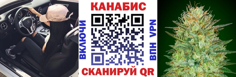 Конопля семена  где купить наркоту  Ясный 